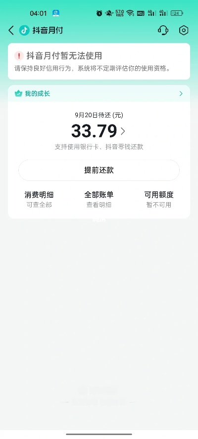 如何高效利用抖音月付额度80元