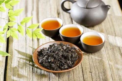 雅安毛尖，深山茶香里的千年传承与品牌崛起之路