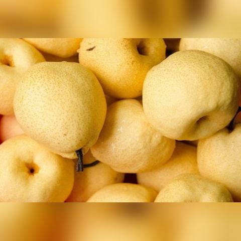 水果加盟店洛阳热门品牌大盘点