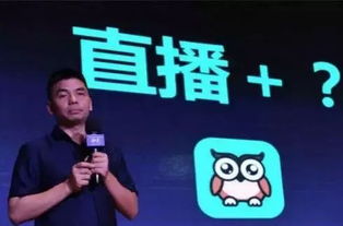 手把手教你成为映客直播人气王，从零基础到高音稳如CD的进阶指南