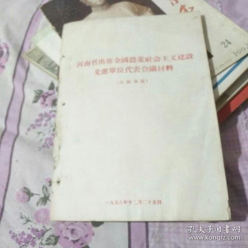 南阳定制鸭绒被价格全解析，从材质到售后，一篇看懂选购攻略