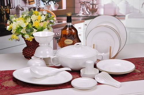 韩国宠物陶瓷品牌全解析，从萌宠餐具到治愈系家居，这些品牌让你家毛孩幸福感爆棚！