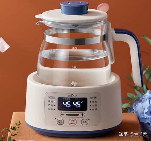 母婴水壶品牌精选与选购指南