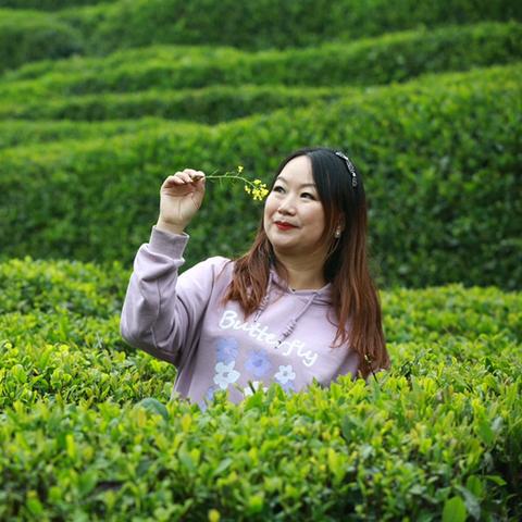 陕西毛尖茶叶选购指南，如何挑到正宗好茶？附品牌对比与实用技巧