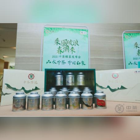 陕西毛尖茶叶选购指南，如何挑到正宗好茶？附品牌对比与实用技巧