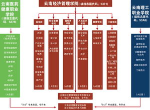 医药品牌策略团队的全面攻略