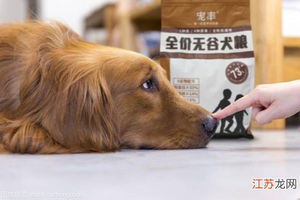 大型犬主必看！10款高性价比零食推荐，省心又暖心