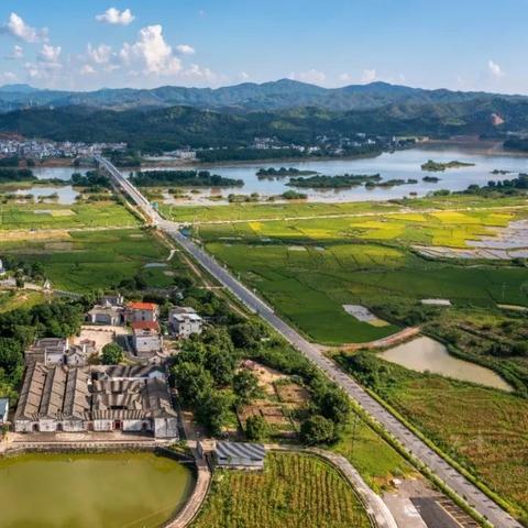 青年力量如何激活乡村新活力？乡村振兴中的青年参与路径探索