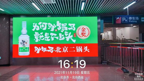广州茶叶品牌全攻略，老字号与新势力齐飞