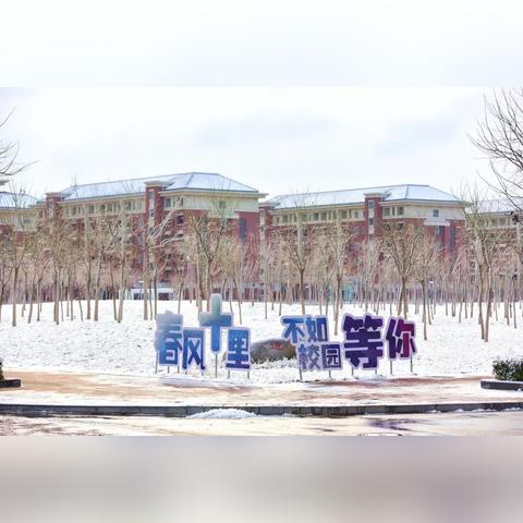 天津中医药品牌深度解析