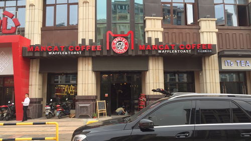 黄山毛峰品牌加盟店名录—探寻加盟新机遇