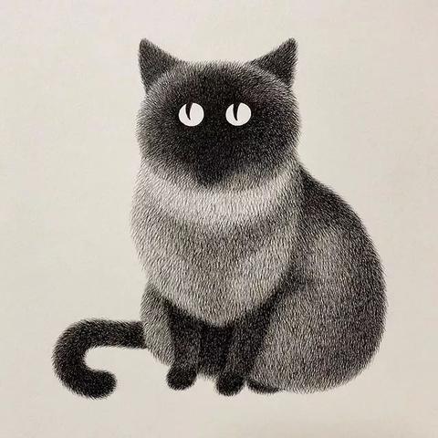 乡村走失猫咪的寻回指南，老办法+新科技，帮你找回毛茸茸的宝贝
