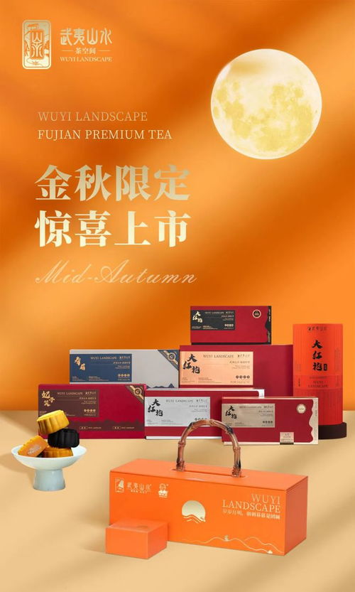 藏医药品牌设计，传承与创新的融合