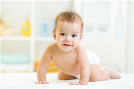 母婴新选择探索comfybaby，打造舒适育儿新体验