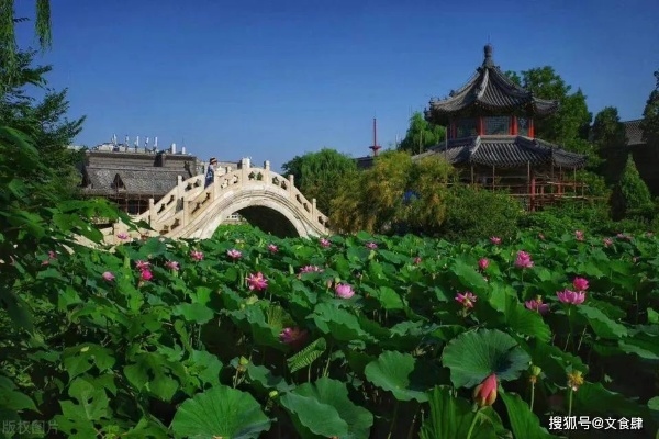 保定城区景点最新排行榜出炉！本地人私藏玩法+避坑指南全公开