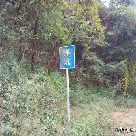云南品牌地毯加盟店推荐及案例分析