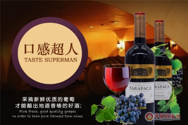 广东葡萄酒加盟品牌推荐—探秘热门品牌，开启创业之路