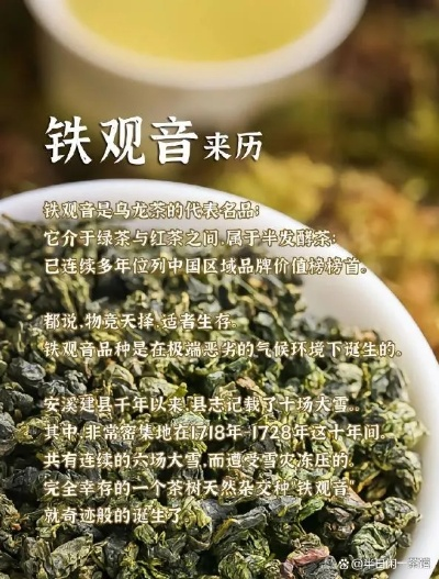 铁观音品牌价值全解析，从传统到现代的茶香传奇