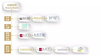哪些品牌没有加盟店的深度分析