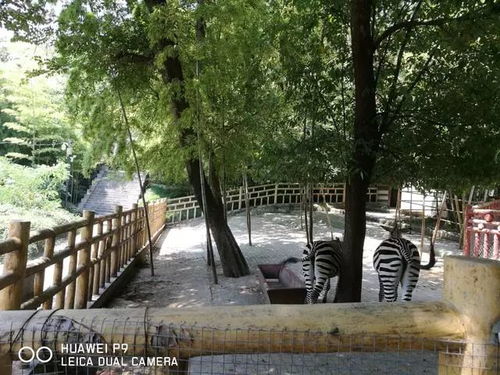 广州必打卡的10大景观景点排行榜（2023最新版）