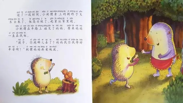 小鸭子为什么给刺猬送鸭绒被？这个暖心故事教会我们如何跨越刺与软的鸿沟
