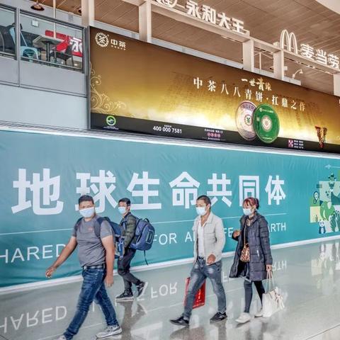 中茶加盟店品牌大盘点