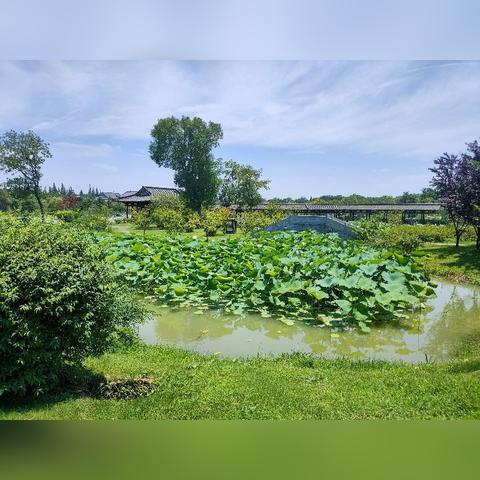 扬州冷门景点避坑指南，本地人私藏的9个宝藏地