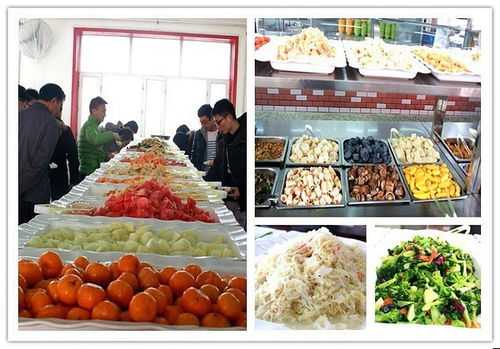 自助快餐加盟品牌推荐，探秘市场热门品牌