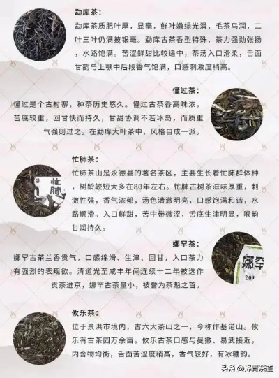 2023年岩茶品牌排名榜，岩骨花香中的头部玩家与黑马品牌全解析