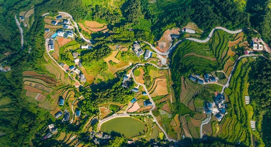 武陵山下的振兴密码，张家界如何激活乡村造血功能