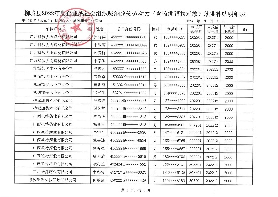 凌云县乡村协理员待遇全解析，工资、补贴、发展前景大公开