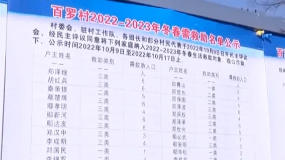 凌云县乡村协理员待遇全解析，工资、补贴、发展前景大公开