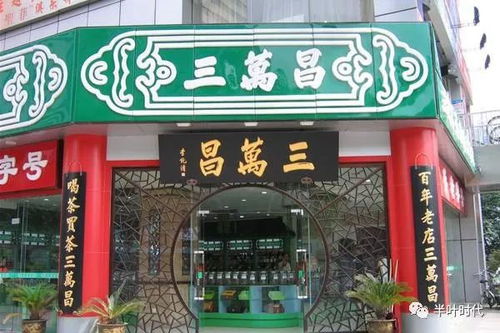 金寨茶叶企业店品牌全解析，老字号与新势力如何点亮茶香江湖