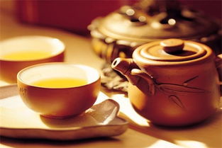 善本茶，云南茶饮新势力，一杯好茶背后的善本哲学