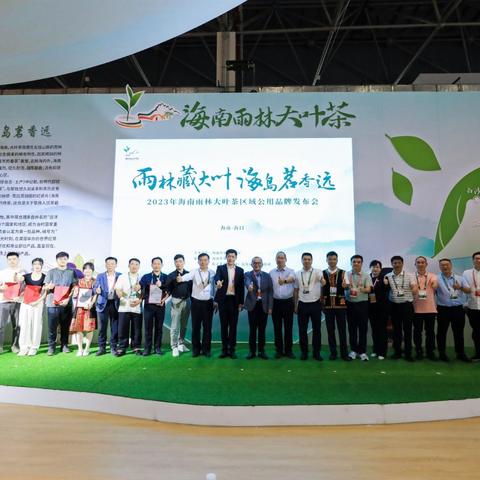 热带雨林户外品牌评价与案例分析