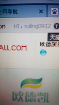 如何高效使用淘宝先用后付功能，轻松攒取更多购物额度