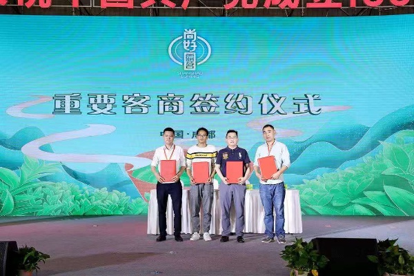 陆茗记，高山茶香里的匠心传承与市场突围战