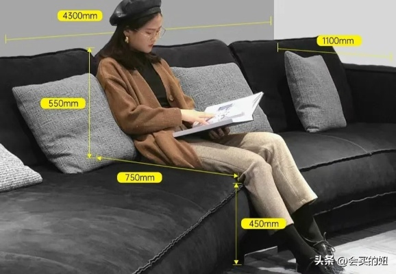 双虎皮沙发，从入门到精通的选购指南，附真实案例与避坑秘籍