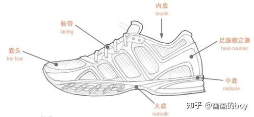 户外鞋选购指南，品牌与性能比较