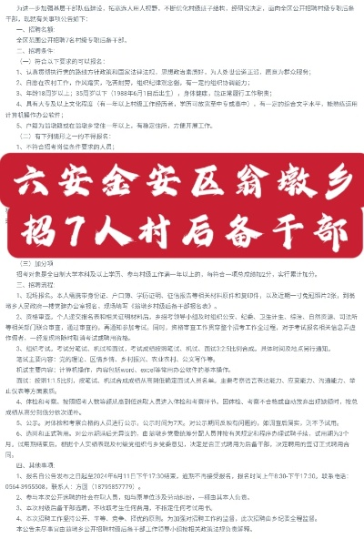 六安乡村干部待遇解析，工资、补贴、晋升全揭秘