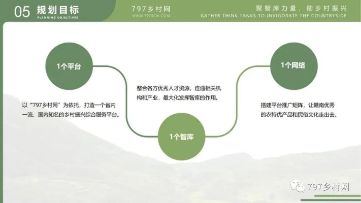 乡村振兴创业者的成长密码，从新手到领军者的5大关键步骤