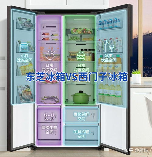 东芝冰箱到底好不好用？真实测评+避坑指南