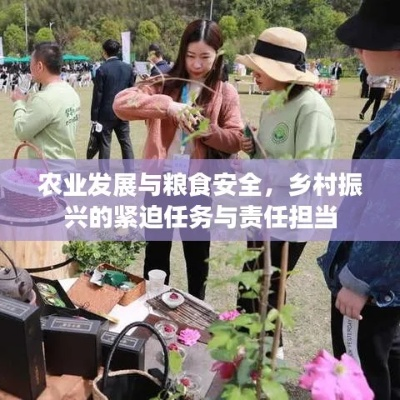 乡村振兴，我们这代人的责任与行动