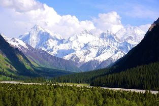 天山旅游必去榜，雪山、草原与人文的极致碰撞