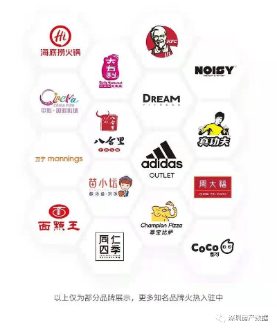 火爆加盟品牌推荐，揭秘市场热潮中的加盟新势力