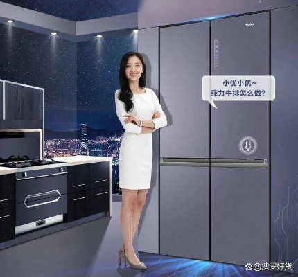 卓仕琳冰箱品牌解析，高性价比背后的硬核实力与用户口碑