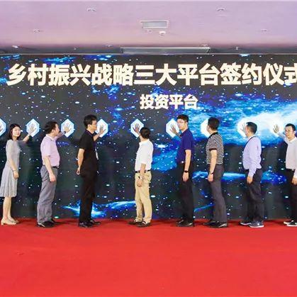 农业投资人如何助力乡村振兴，从投资到共赢的实践路径