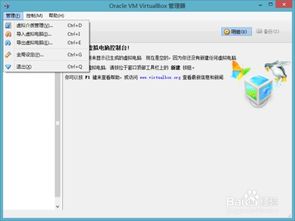 从零开始，虚拟机导入物理服务器的全流程指南与避坑指南