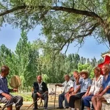 果园如何助力乡村振兴？这份果香计划指南请收好！