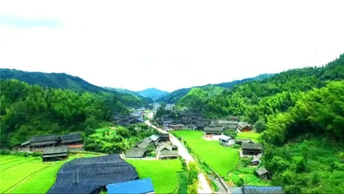 绥宁东山乡村干部待遇解析，待遇如何？付出与收获大公开